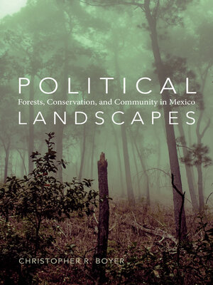 cover image of Political Landscapes